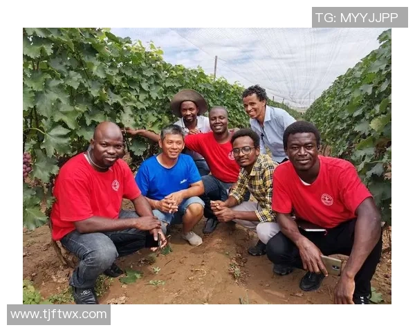 上海羽毛球队在钻石联赛中的蜕变与未来发展探索之路